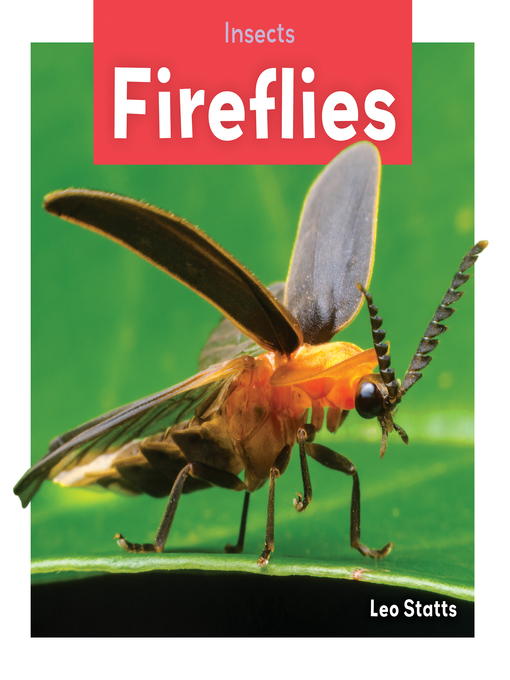 Title details for Fireflies by Julie Murray - Available